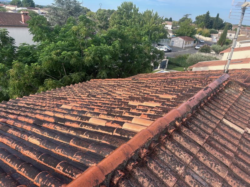 hydrofuge coloré pour tuile béton à Nîmes et alentours par un professionnel.