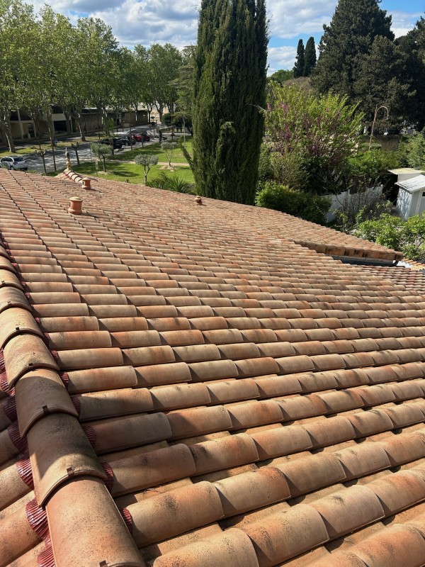 Démoussage de toiture part un professionnel à Avignon dans le Vaucluse