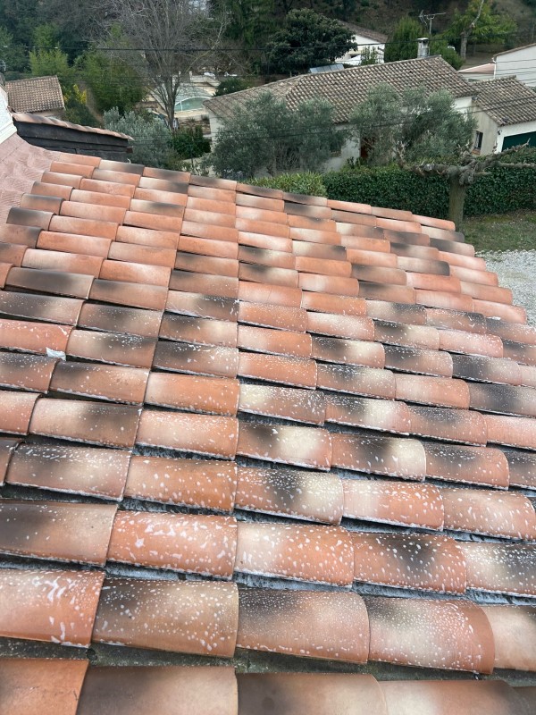 Traitement de toiture sans rinçage à Nîmes dans le Gard 